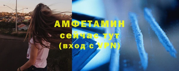 шишки Богородск