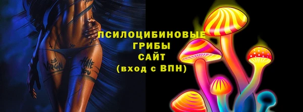 шишки Богородск