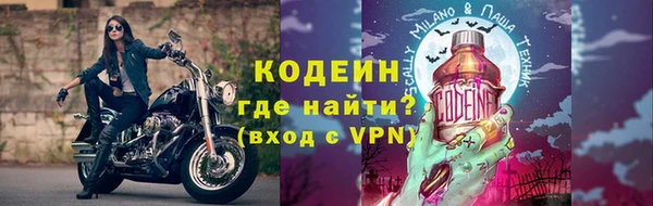шишки Богородск