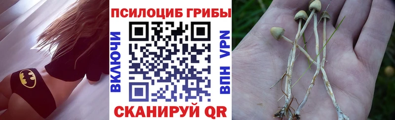 даркнет как зайти  Абакан  Галлюциногенные грибы GOLDEN TEACHER  купить наркоту 